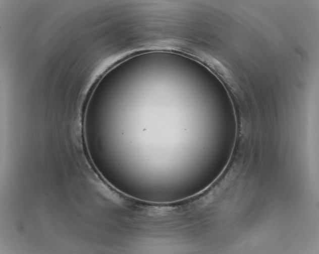 X0000112181184200908071320