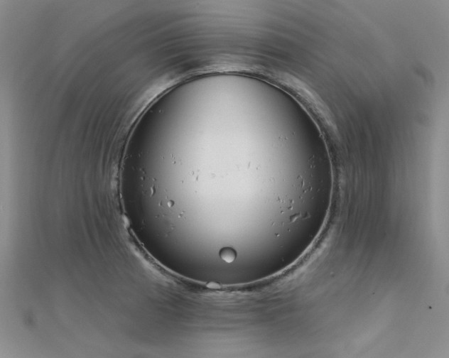 X0000112181185200908071320