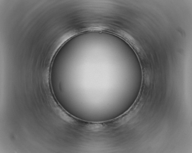 X0000112181186200908071320