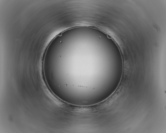 X0000112181187200908071320