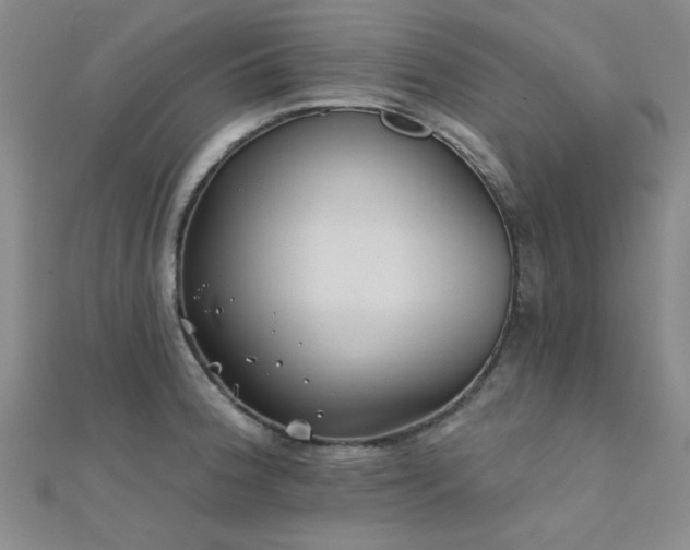 X0000112181188200908071320