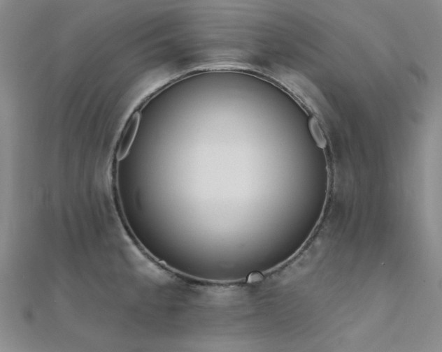 X0000112181189200908071320