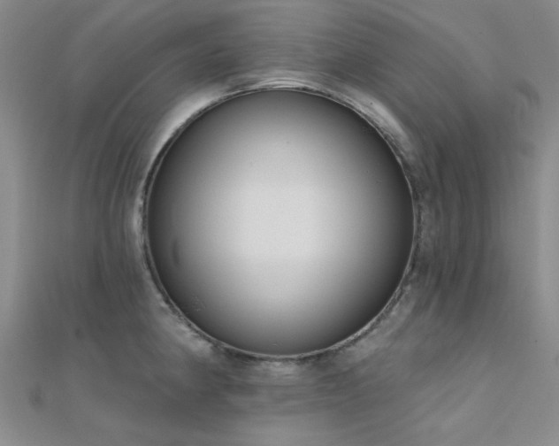 X0000112181190200908071320