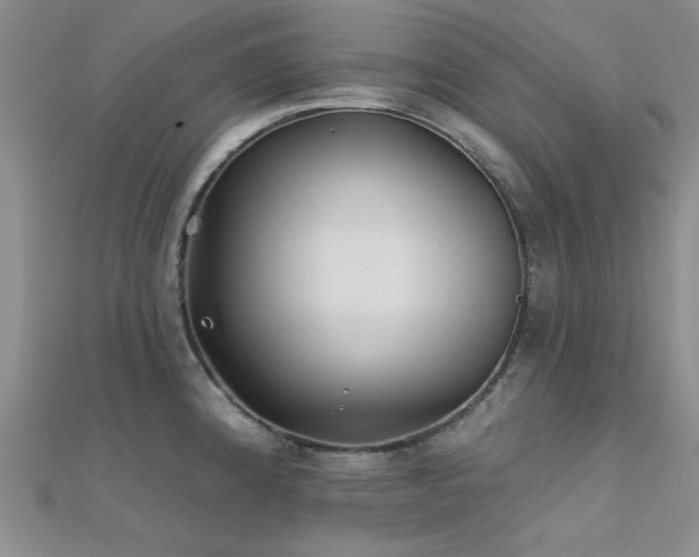 X0000112181192200908071319