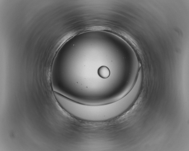 X0000112181193200908071319