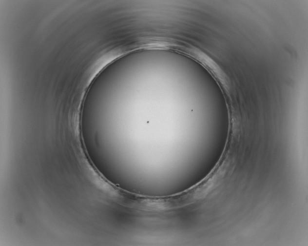 X0000112181194200908071319