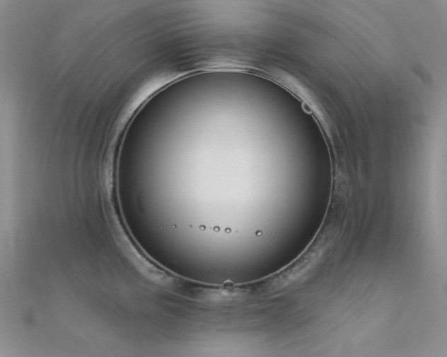 X0000112181195200908071319