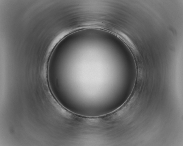 X0000112181196200908071319