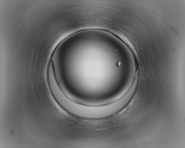 X0000112181197200908071319