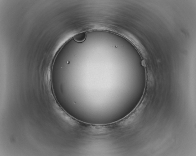 X0000112181198200908071319