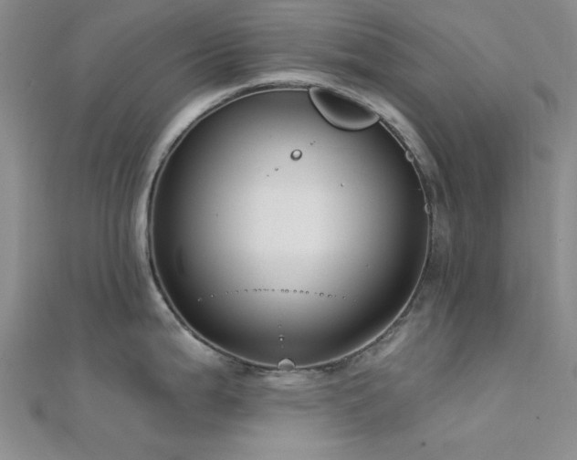 X0000112181199200908071319