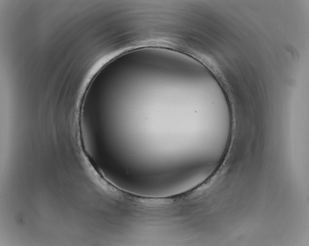 X0000112181200200908071319