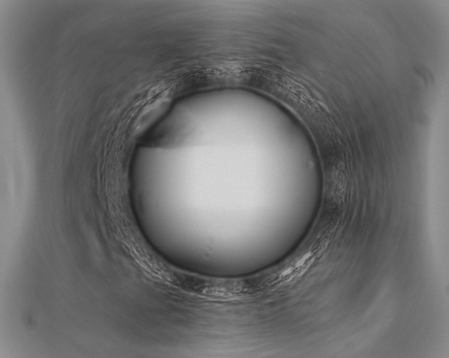 X0000112181201200908071319