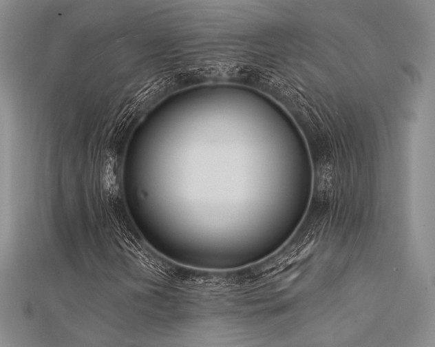 X0000112181202200908071319