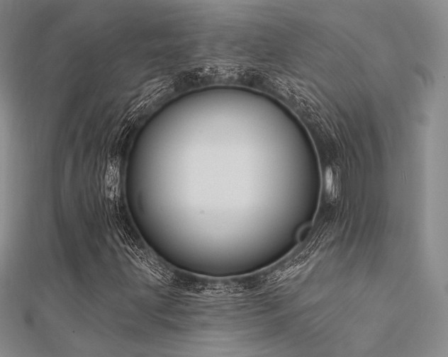 X0000112181203200908071319