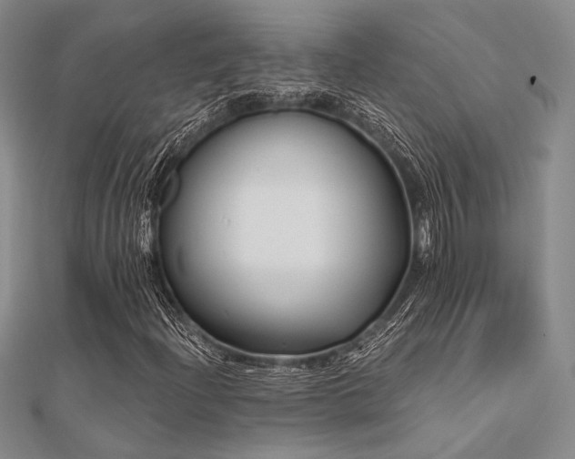 X0000112181204200908071319