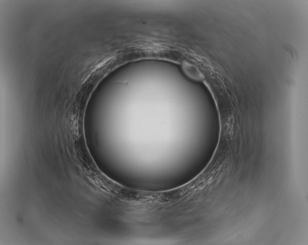 X0000112181205200908071319