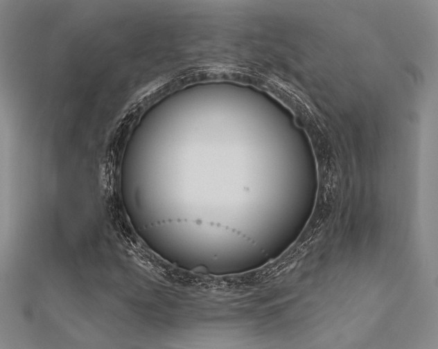 X0000112181207200908071319