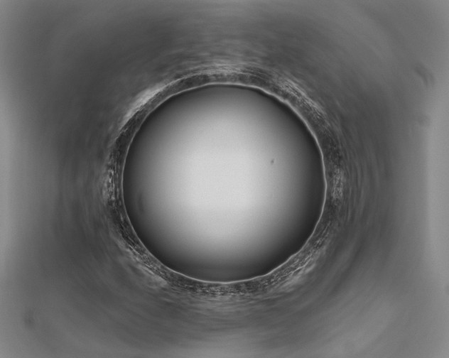 X0000112181208200908071319