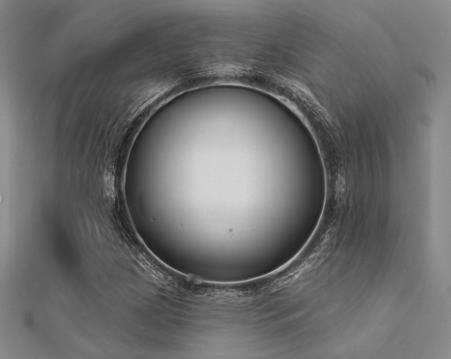 X0000112181209200908071319