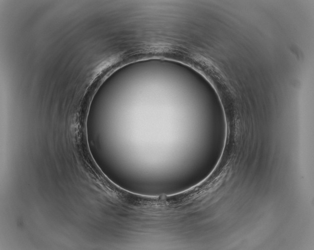 X0000112181210200908071319