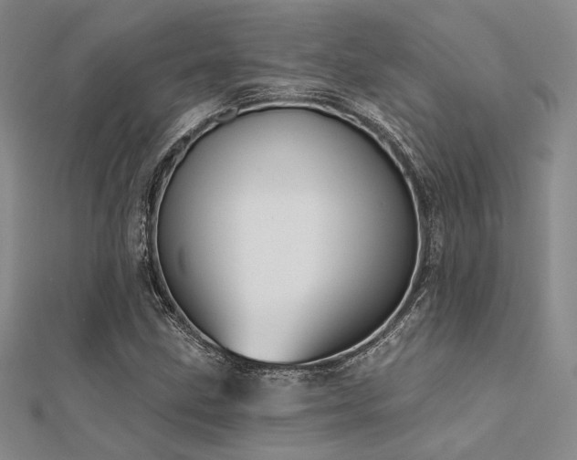 X0000112181211200908071319