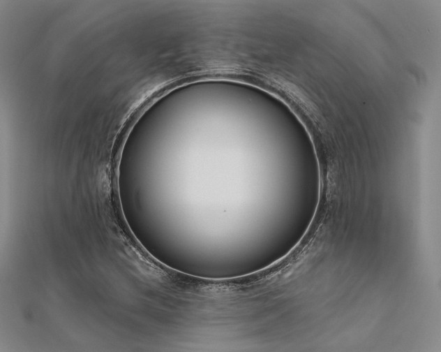 X0000112181212200908071319