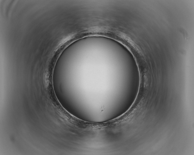 X0000112181213200908071319