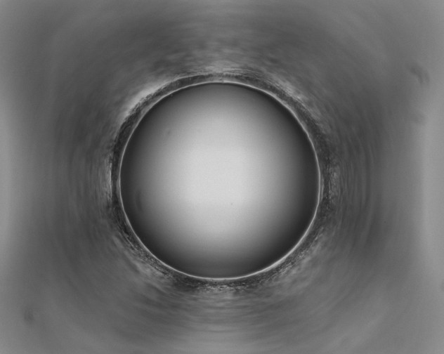 X0000112181214200908071319