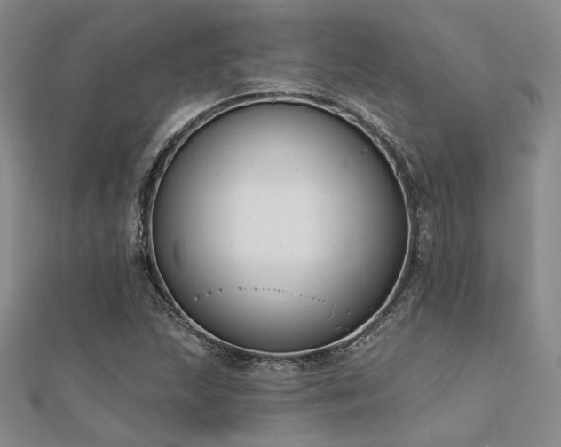 X0000112181215200908071319