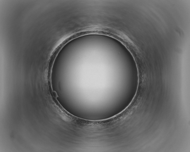 X0000112181216200908071319