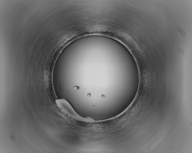 X0000112181217200908071319