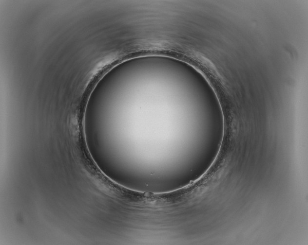 X0000112181218200908071319