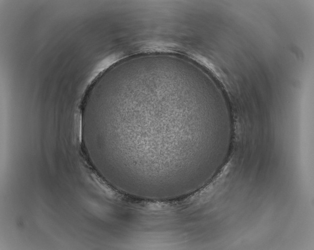 X0000112181219200908071319