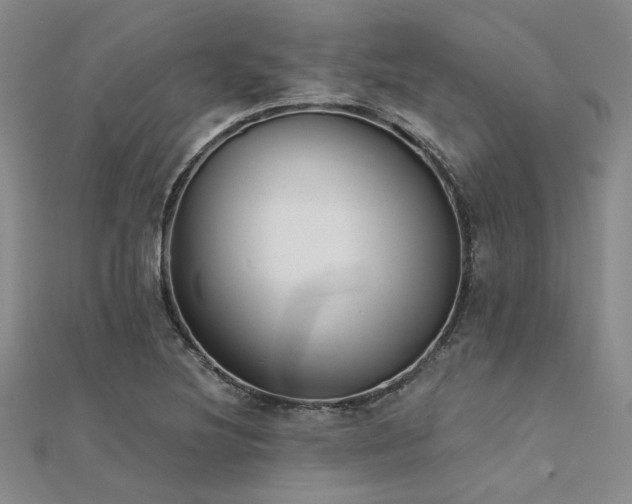 X0000112181220200908071319