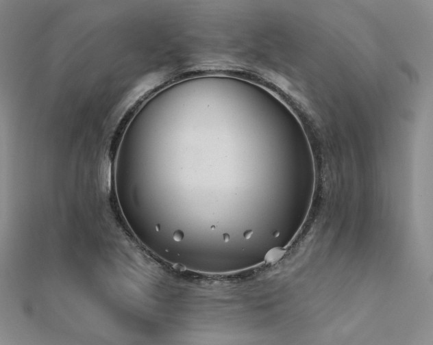 X0000112181221200908071319