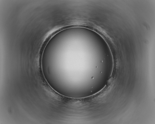 X0000112181222200908071319