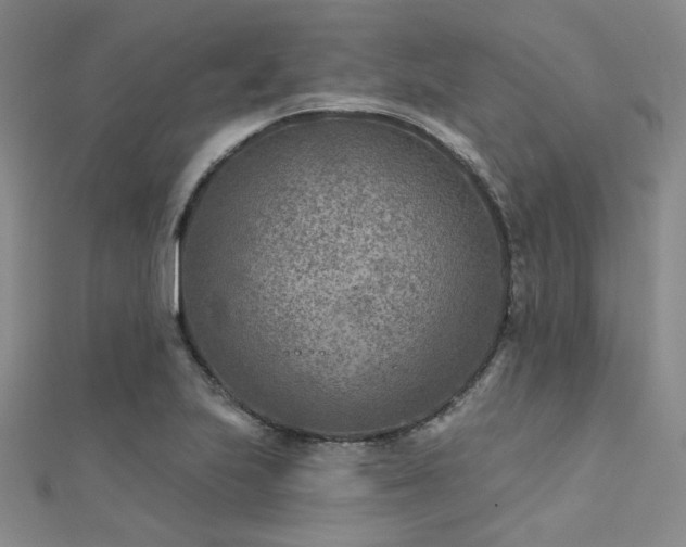 X0000112181223200908071319