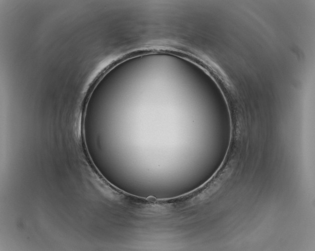 X0000112181224200908071319