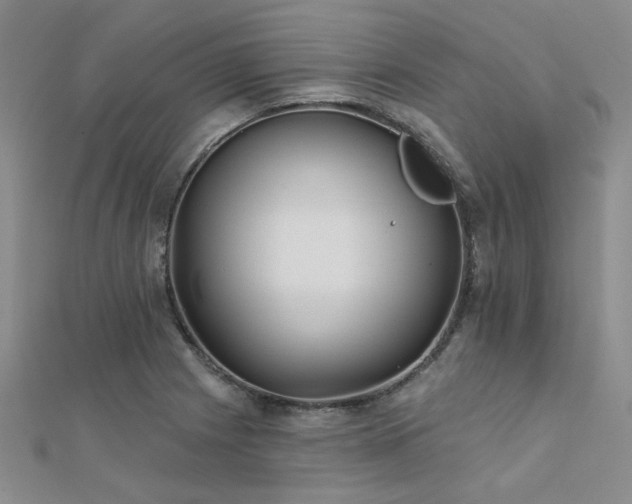 X0000112181225200908071319