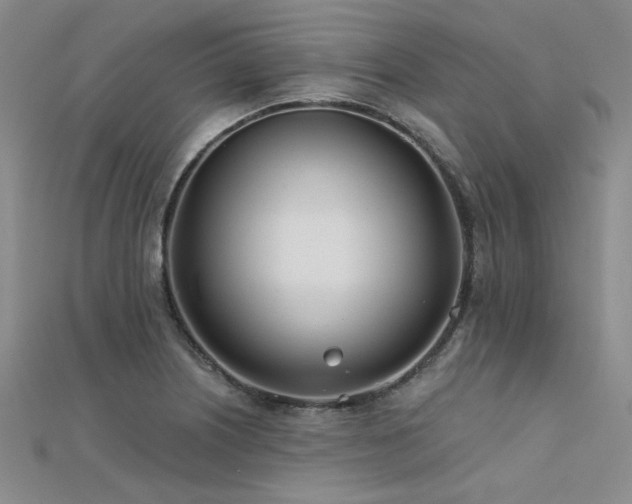 X0000112181226200908071319