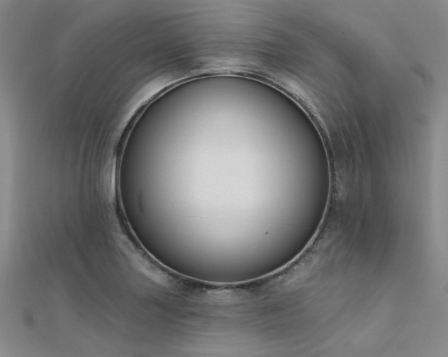 X0000112181227200908071319