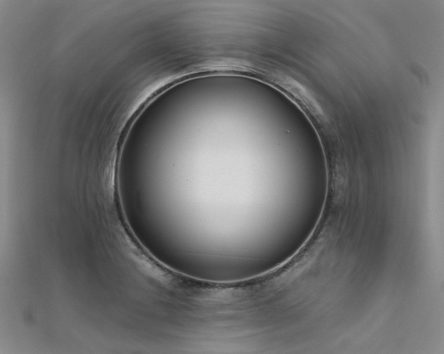 X0000112181228200908071319