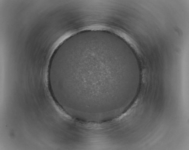 X0000112181229200908071319