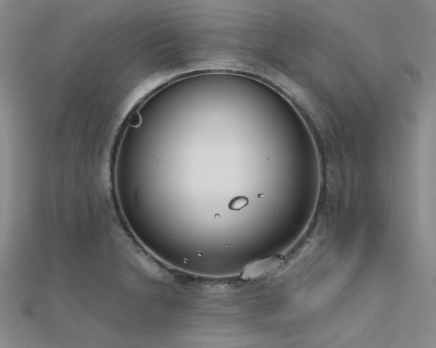 X0000112181230200908071319