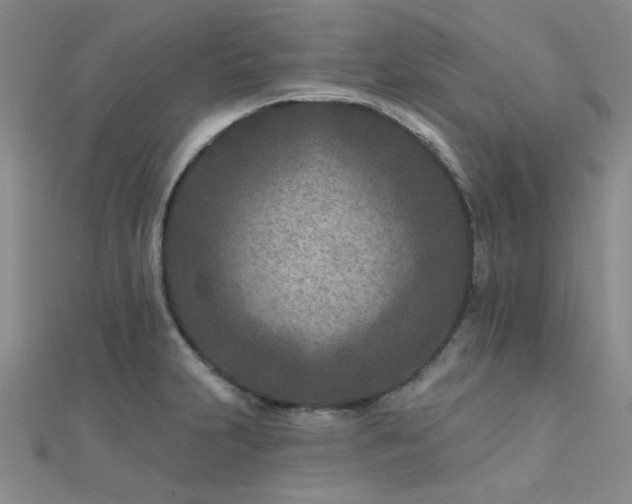 X0000112181231200908071319