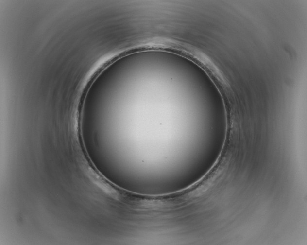 X0000112181232200908071319