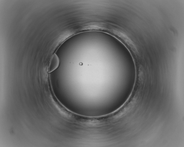 X0000112181233200908071319