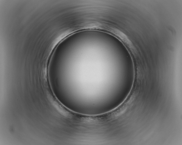 X0000112181234200908071319