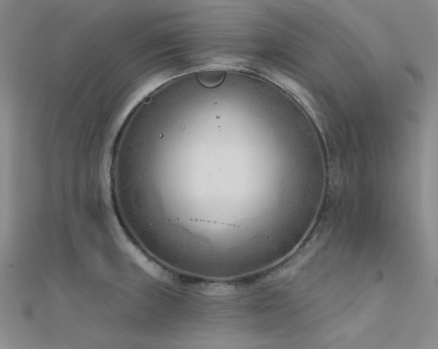 X0000112181235200908071319